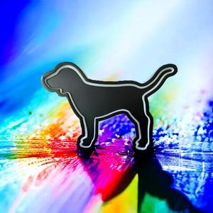 Light Up PINK VICTORIA SECRET DOG